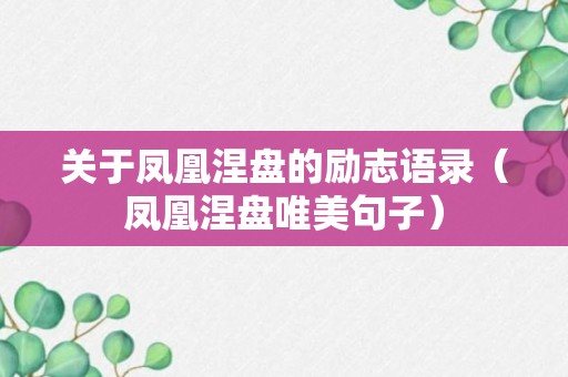 关于凤凰涅盘的励志语录（凤凰涅盘唯美句子）