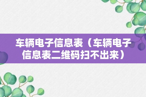 车辆电子信息表（车辆电子信息表二维码扫不出来）