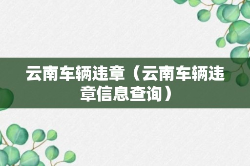 云南车辆违章（云南车辆违章信息查询）