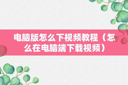 电脑版怎么下视频教程（怎么在电脑端下载视频）