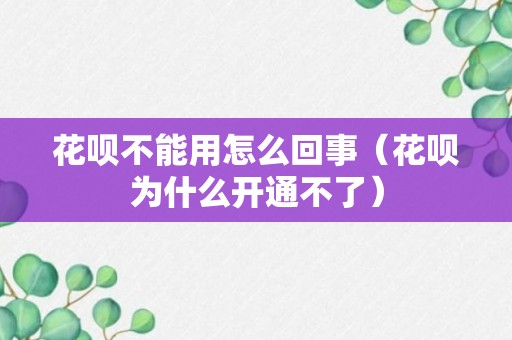 花呗不能用怎么回事（花呗为什么开通不了）