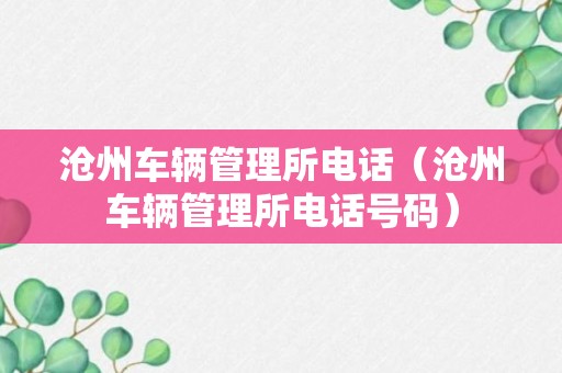 沧州车辆管理所电话（沧州车辆管理所电话号码）