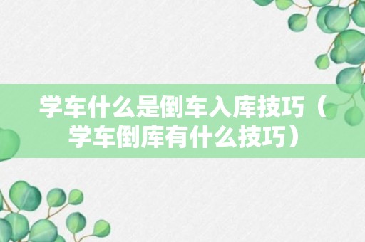 学车什么是倒车入库技巧（学车倒库有什么技巧）