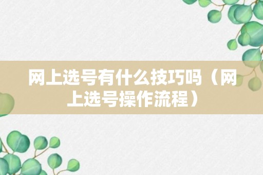 网上选号有什么技巧吗（网上选号操作流程）