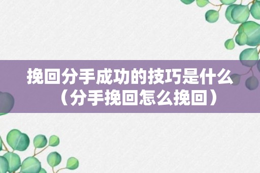 挽回分手成功的技巧是什么（分手挽回怎么挽回）