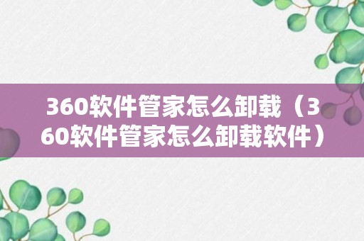 360软件管家怎么卸载（360软件管家怎么卸载软件）