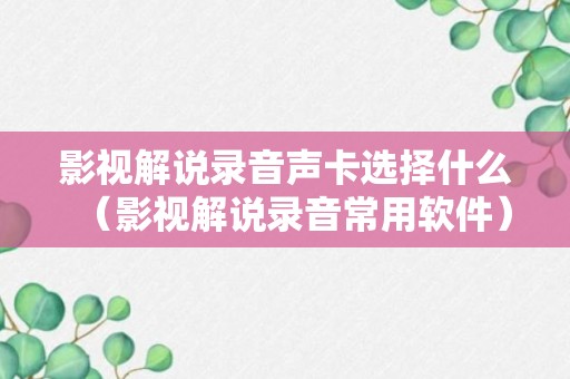 影视解说录音声卡选择什么（影视解说录音常用软件）