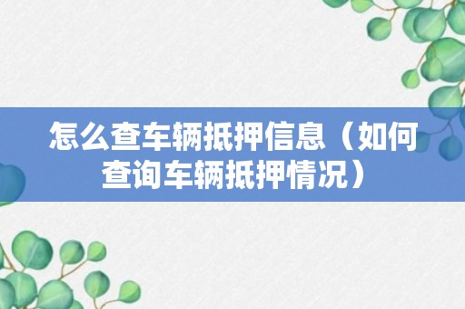 怎么查车辆抵押信息（如何查询车辆抵押情况）