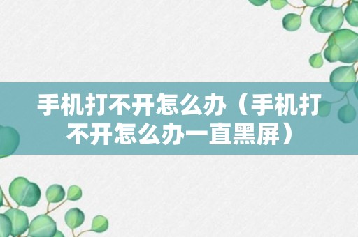 手机打不开怎么办（手机打不开怎么办一直黑屏）