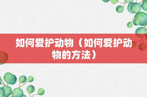 如何爱护动物（如何爱护动物的方法）