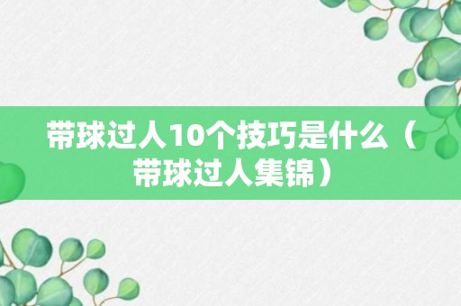 带球过人10个技巧是什么（带球过人集锦）