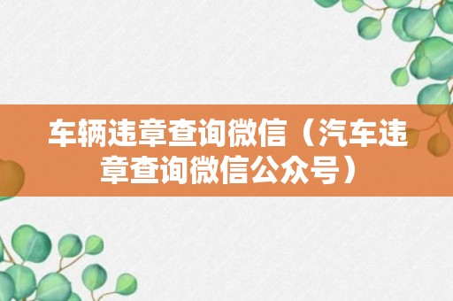 车辆违章查询微信（汽车违章查询微信公众号）