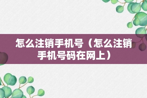 怎么注销手机号（怎么注销手机号码在网上）