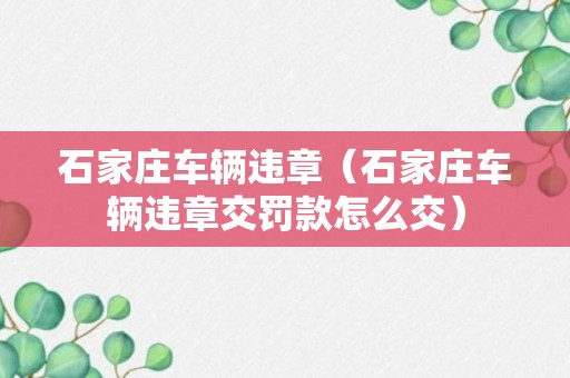 石家庄车辆违章（石家庄车辆违章交罚款怎么交）