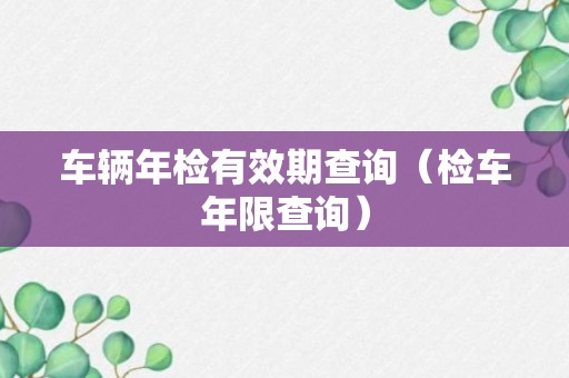 车辆年检有效期查询（检车年限查询）