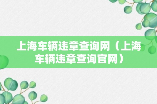 上海车辆违章查询网（上海车辆违章查询官网）