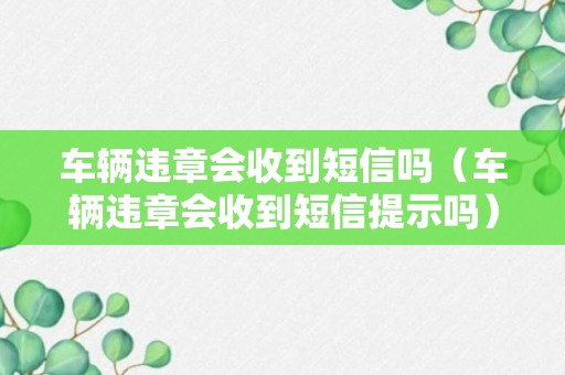 车辆违章会收到短信吗（车辆违章会收到短信提示吗）