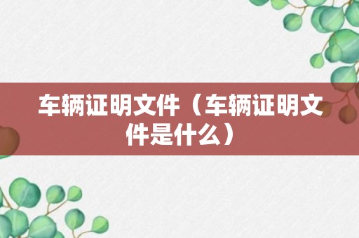 车辆证明文件（车辆证明文件是什么）