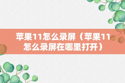 苹果11怎么录屏（苹果11怎么录屏在哪里打开）