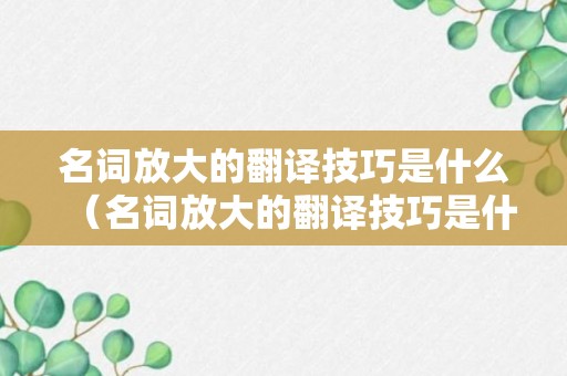 名词放大的翻译技巧是什么（名词放大的翻译技巧是什么样的）