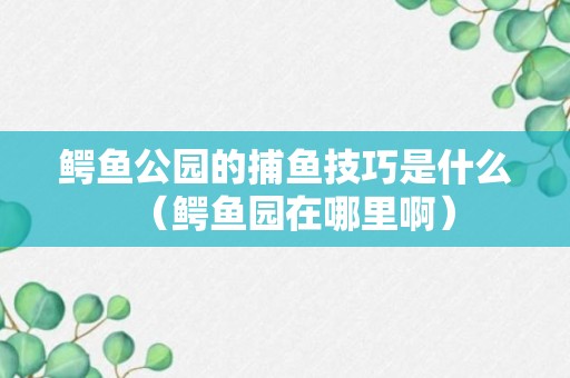 鳄鱼公园的捕鱼技巧是什么（鳄鱼园在哪里啊）