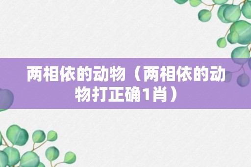 两相依的动物（两相依的动物打正确1肖）