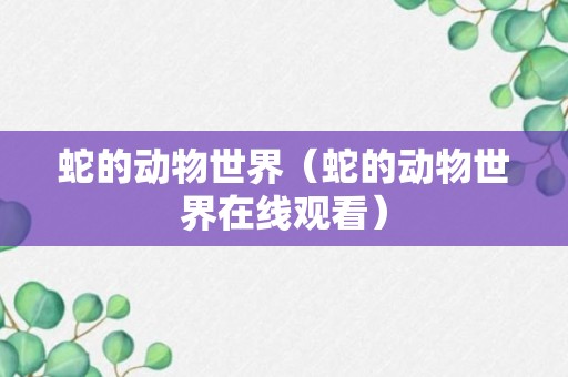 蛇的动物世界（蛇的动物世界在线观看）