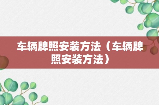 车辆牌照安装方法（车辆牌照安装方法）