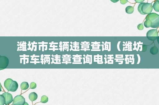 潍坊市车辆违章查询（潍坊市车辆违章查询电话号码）