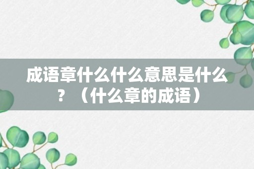 成语章什么什么意思是什么？（什么章的成语）