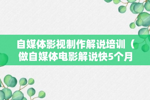 自媒体影视制作解说培训（做自媒体电影解说快5个月了依然没有收益）