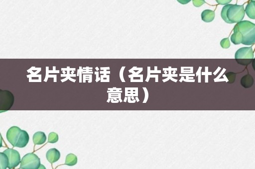 名片夹情话（名片夹是什么意思）