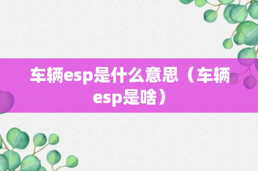 车辆esp是什么意思（车辆esp是啥）