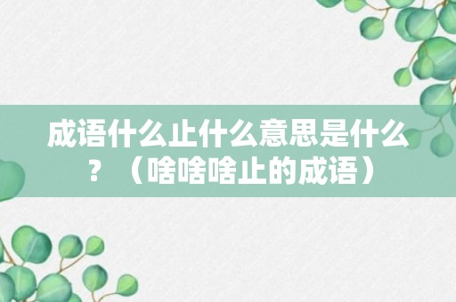 成语什么止什么意思是什么？（啥啥啥止的成语）