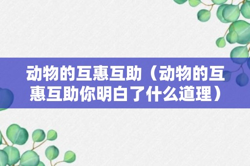 动物的互惠互助（动物的互惠互助你明白了什么道理）