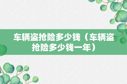 车辆盗抢险多少钱（车辆盗抢险多少钱一年）