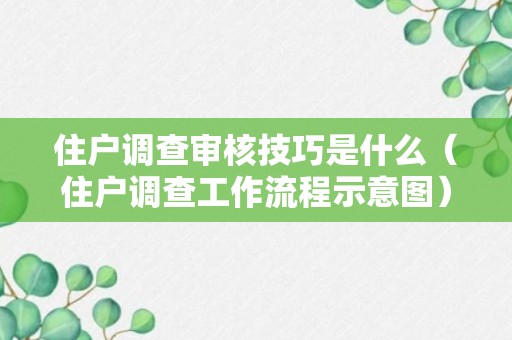 住户调查审核技巧是什么（住户调查工作流程示意图）