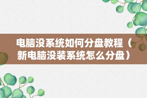 电脑没系统如何分盘教程（新电脑没装系统怎么分盘）