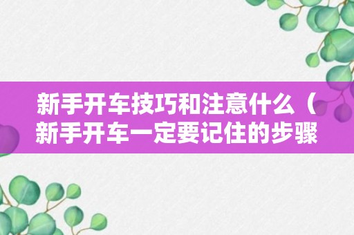 新手开车技巧和注意什么（新手开车一定要记住的步骤）