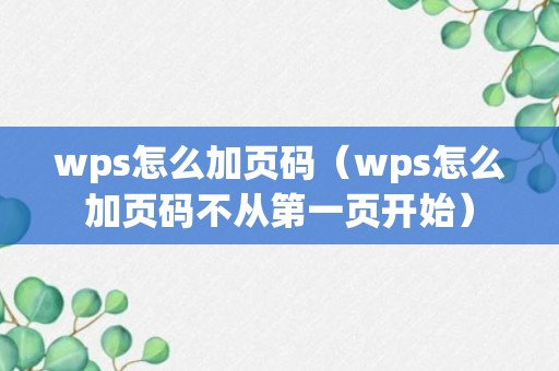 wps怎么加页码（wps怎么加页码不从第一页开始）