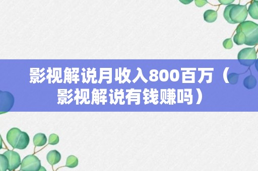 影视解说月收入800百万（影视解说有钱赚吗）