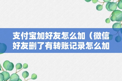 支付宝加好友怎么加（微信好友删了有转账记录怎么加）