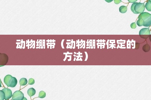 动物绷带（动物绷带保定的方法）