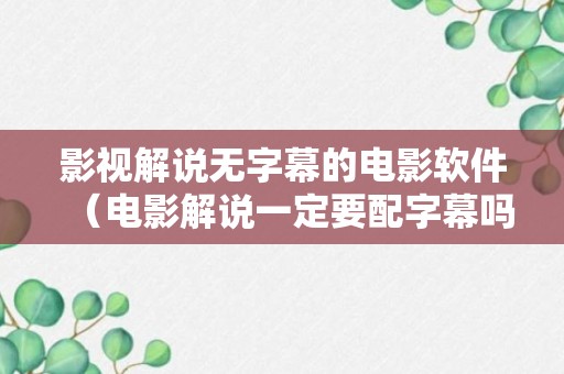 影视解说无字幕的电影软件（电影解说一定要配字幕吗）