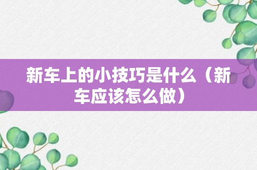 新车上的小技巧是什么（新车应该怎么做）