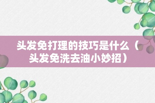 头发免打理的技巧是什么（头发免洗去油小妙招）