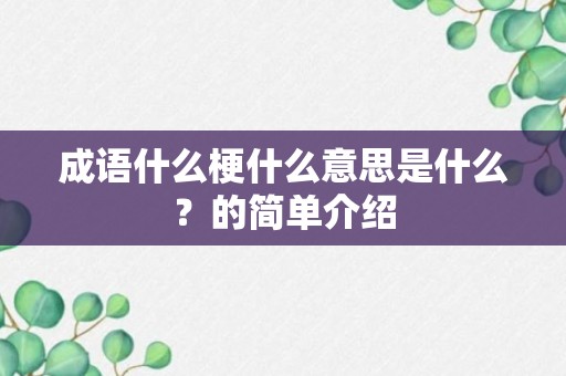 成语什么梗什么意思是什么？的简单介绍