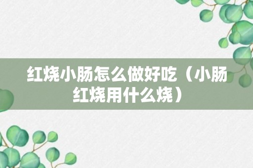 红烧小肠怎么做好吃（小肠红烧用什么烧）