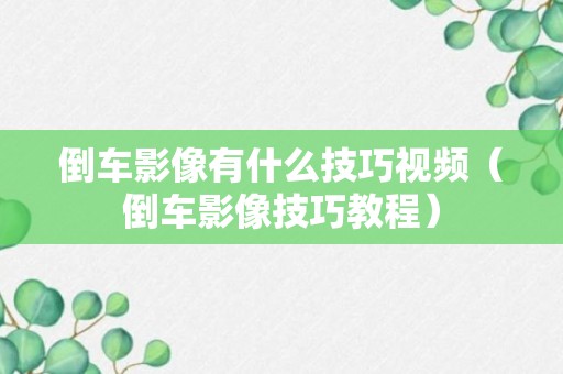 倒车影像有什么技巧视频（倒车影像技巧教程）