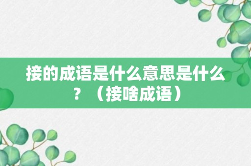 接的成语是什么意思是什么？（接啥成语）